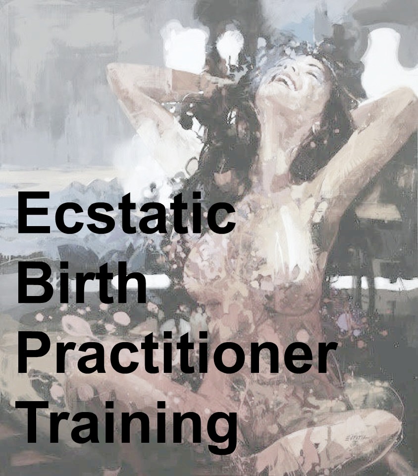 practitioner training