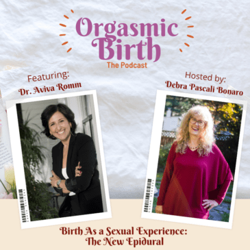 Ep. 31 – Birth As a Sexual Experience: The New Epidural with Dr. Aviva Romm