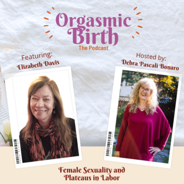 Ep. 35 – Female Sexuality and Plateaus in Labor with Elizabeth Davis