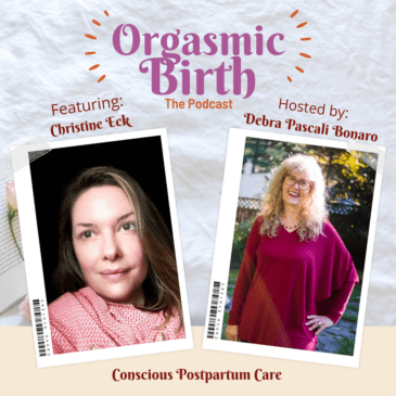 Conscious Postpartum Care  with Christine Eck​