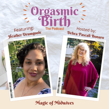 Ep. 71 – Magic of Midwives with Heather Drumgoole