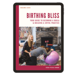 Birthing Bliss: Your Guide to Becoming a Doula Ebook