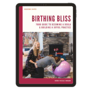 Birthing Bliss: Your Guide to Becoming a Doula Ebook