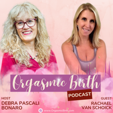 Ep. 121 – Balanced Body Approach For Birth And Pelvic Health with Rachael Van Schoick